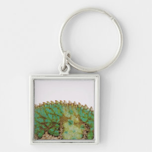 Chameleon skin change key ring