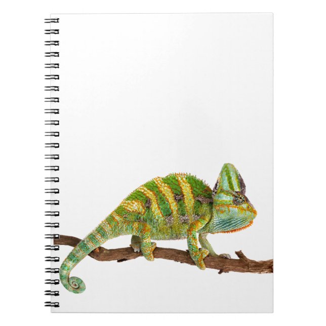 Chameleon Spiral Notebook (Front)