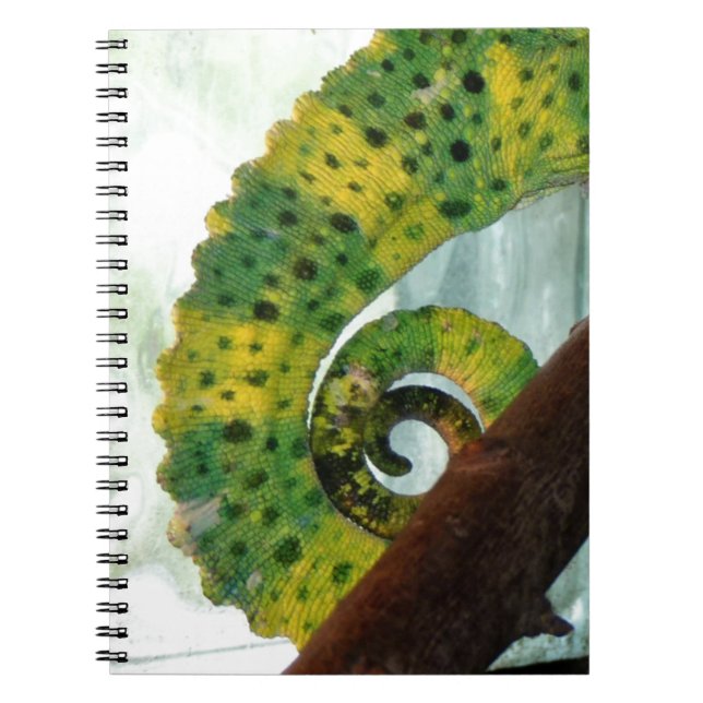 Chameleon Tail Notebook (Front)