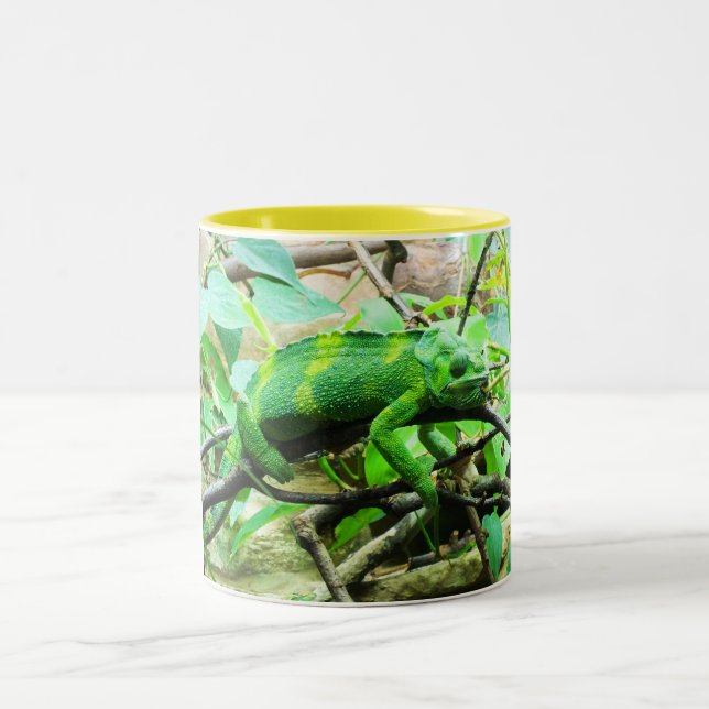 Chameleon Two-Tone Coffee Mug (Center)