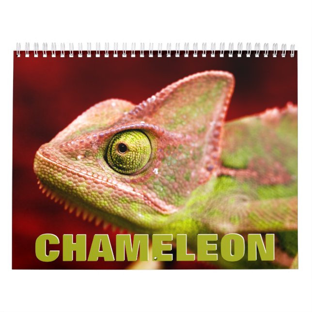 Chameleon Wall Calendar (Cover)
