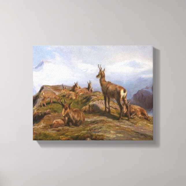Chamois Goats in Alpine Mountains (Rosa Bonheur) Canvas Print (Front)