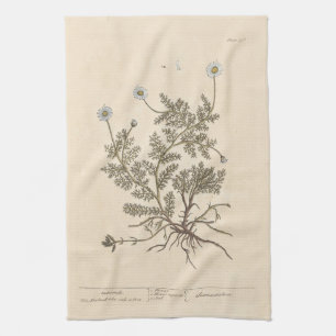 Chamomile by Elizabeth Blackwell Tea Towel