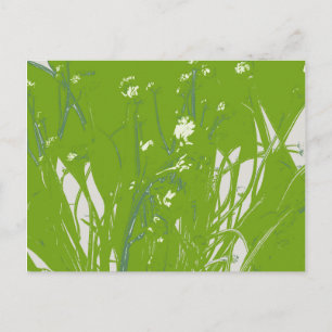 chamomile field green postcard