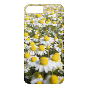 Chamomile Field, Hungary iPhone 8 Plus/7 Plus Case