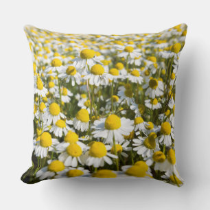 Chamomile Field, Hungary Cushion