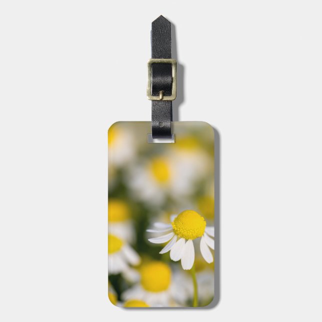 Chamomile flower close-up, Hungary Luggage Tag (Front Vertical)