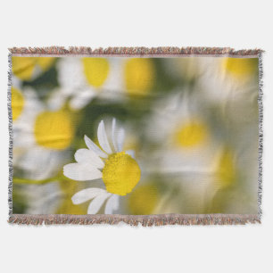 Chamomile flower close-up, Hungary Throw Blanket