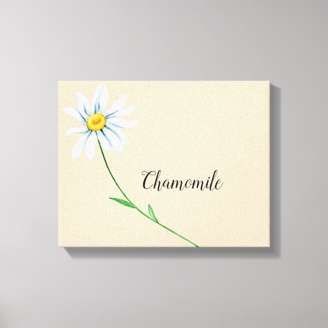 Chamomile Flower Watercolor Canvas Print (Front)