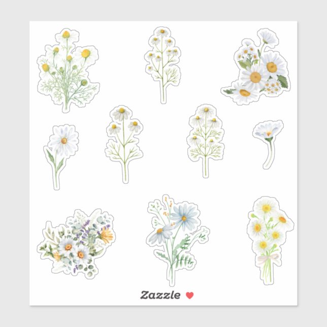 Chamomile Flowers  (Sheet)
