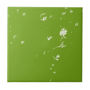 chamomile flowers on green tile