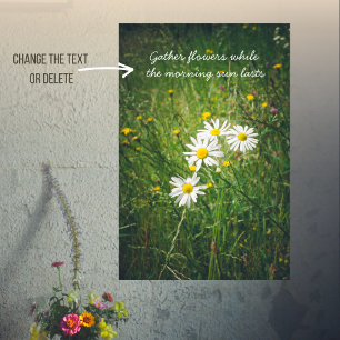 Chamomile flowers on the green summer meadow  poster