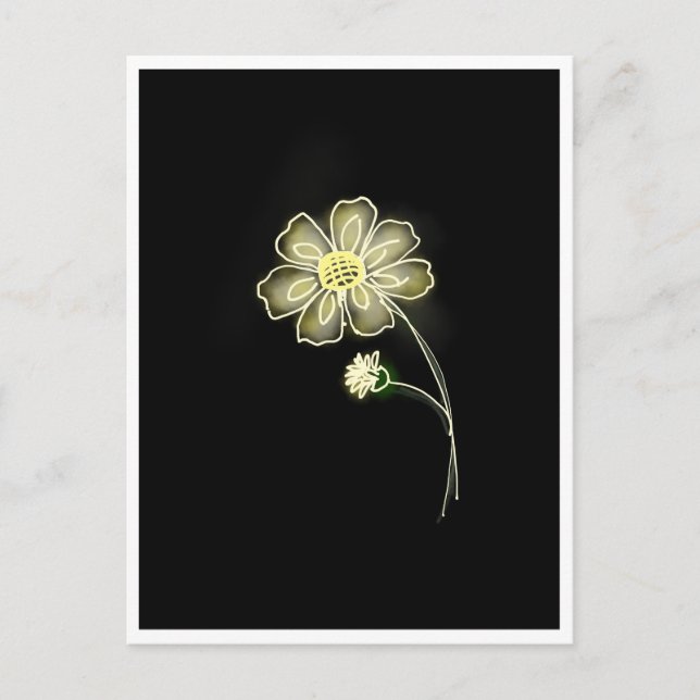 Chamomile Glow  Postcard (Front)