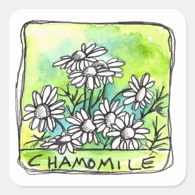 Chamomile Herb Tea Medicinal Plants Product Label (Front)