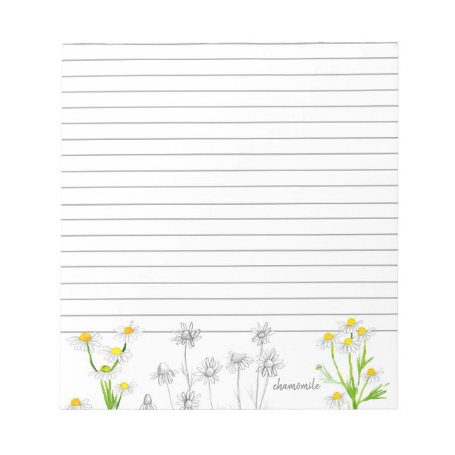 Chamomile Herb Watercolor Plant Drawing Lined Notepad (Front)