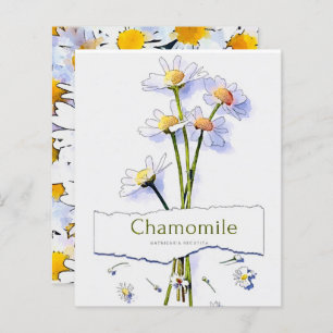 Chamomile vintage watercolor painting card