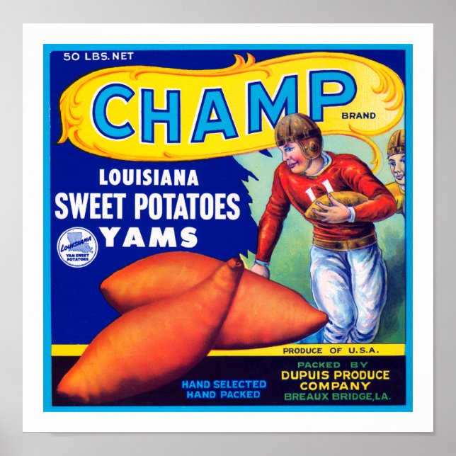 Champ Louisiana Sweet Potatoes Poster (Front)