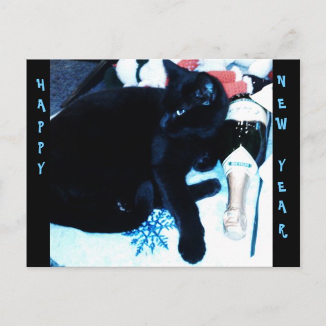 CHAMPAGNE BLACK CAT, NEW YEAR postcard (Front)