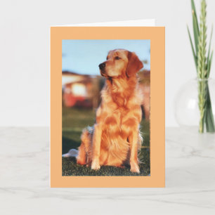 Champion Golden Retriever Wonderful Dog Card