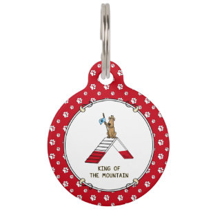 Champion king of the mountain dog agility funny pet tag