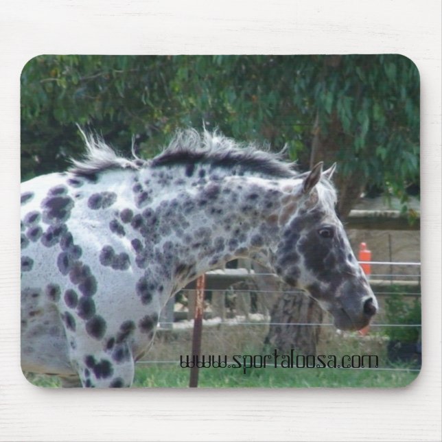 champion reining stallion mouse pad (Front)