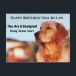 Champion Son-In-Law Birthday Golden Retriever Postcard<br><div class="desc">You are a champion! If your son-in-law is a fan of golden retrievers,  he will appreciate this amazing birthday postcard. "Strong,  serious,  smart" sends an endearing message to all guys.</div>