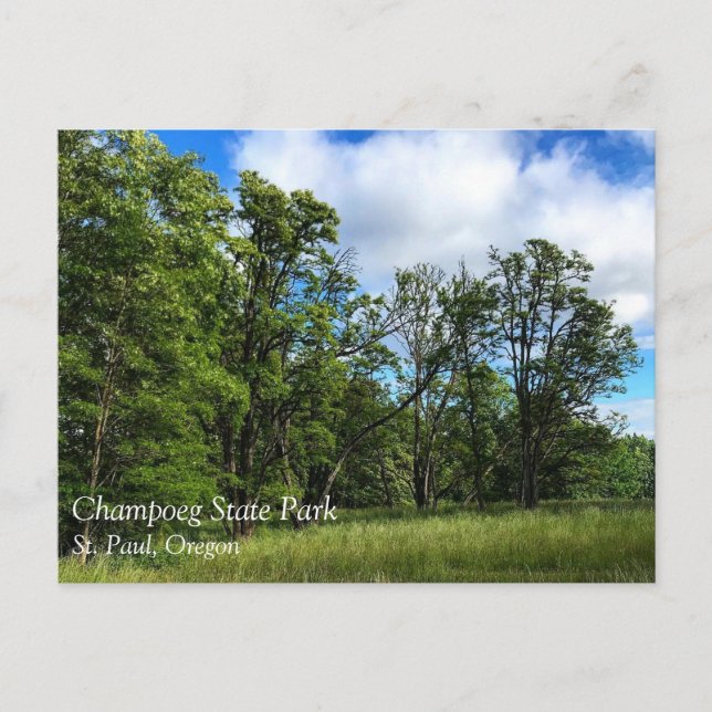 Champoeg State Park, Oregon Poster Postcard (Front)