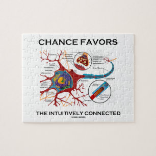 Chance Favours The Intuitively Connected (Neuron) Jigsaw Puzzle