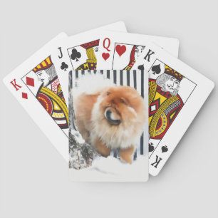 CHANCE heARTdog chow playing cards