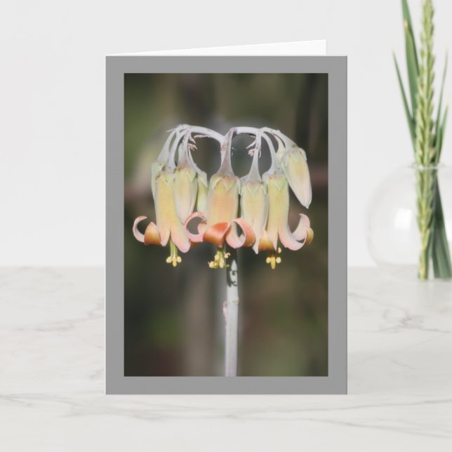 Chandelier flower card (Front)