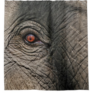 CHANG MAI ELEPHANT EYE SHOWER CURTAIN