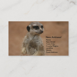 Change of Address Cards - Meerkats