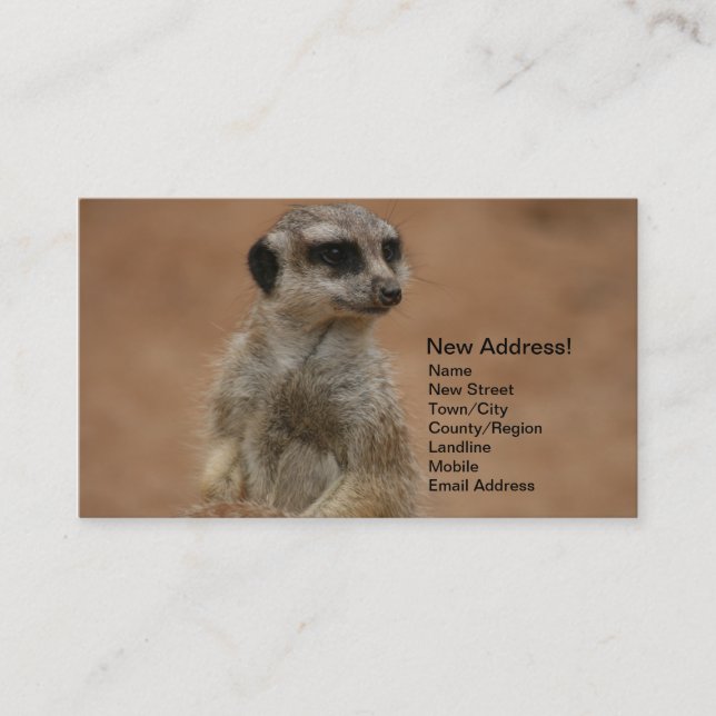 Change of Address Cards - Meerkats (Front)