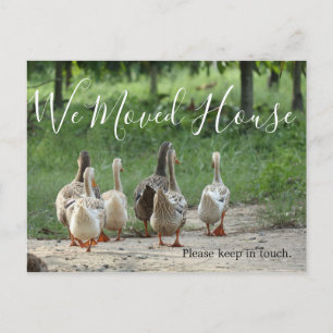 Change of Address Fun  Photo Custom Postcard