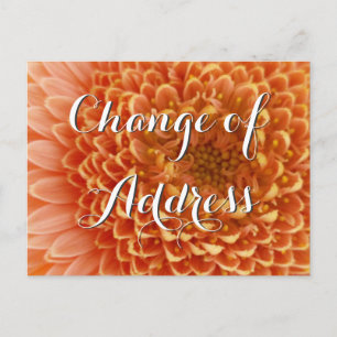 Change of address postcard with flower photography