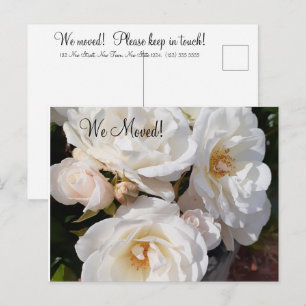 Change of Address Romantic Rose Postcard