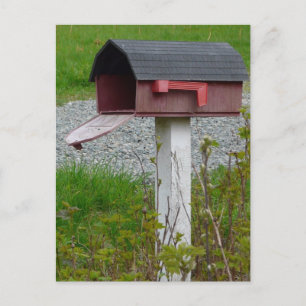 Change of Address Rural Country Mailbox Announcement Postcard