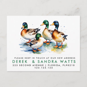 change of address we've moved announcement DUCKS Postcard