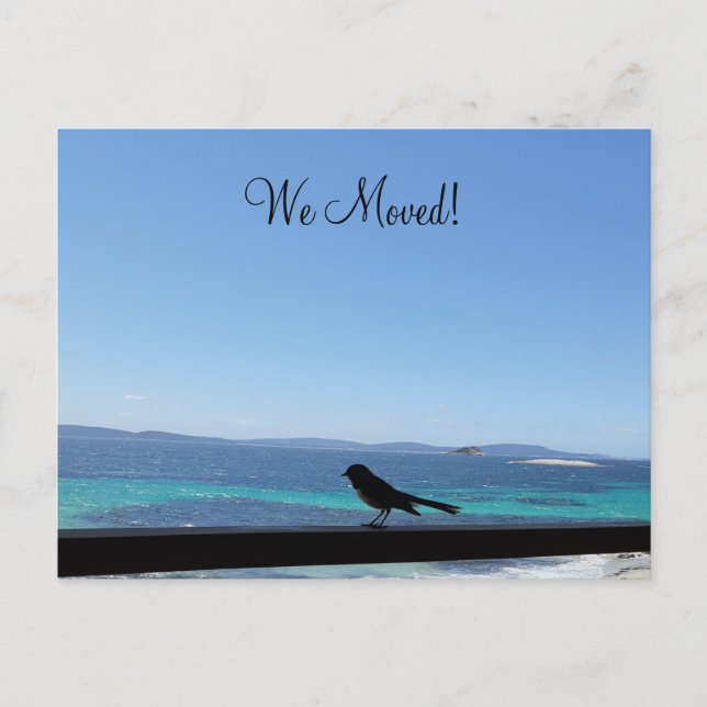 Change of Details little bird Postcard (Front)