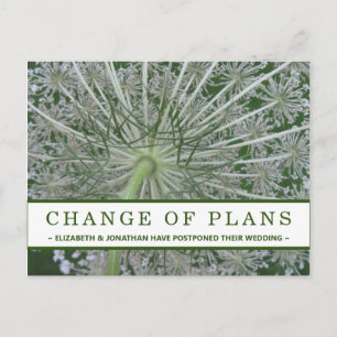 Change of Plans Queen Anne's lace Flower Postcard