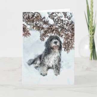 Change of Seasons Card