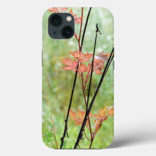 Change of Seasons, Fall Leaves in Green Field, iPhone 13 Case