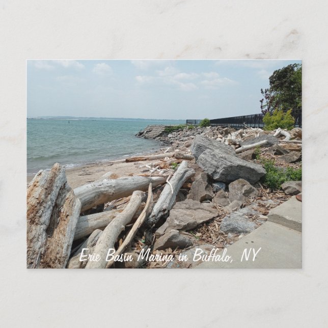 Changed Pier at Erie Basin Marina Postcard (Front)