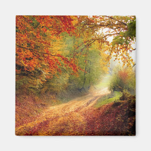 Changing Colours of Autumn Magnet