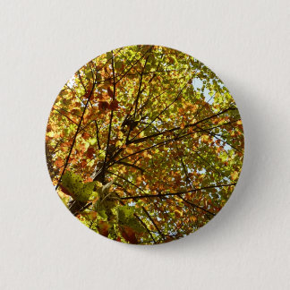 Changing Maple Tree Green and Gold Fall Colour 6 Cm Round Badge