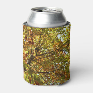 Changing Maple Tree Green and Gold Fall Colour Can Cooler