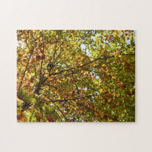 Changing Maple Tree Green and Gold Fall Colour Jigsaw Puzzle