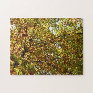 Changing Maple Tree Green and Gold Fall Colour Jigsaw Puzzle