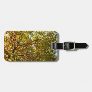 Changing Maple Tree Green and Gold Fall Colour Luggage Tag