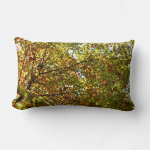 Changing Maple Tree Green and Gold Fall Colour Lumbar Cushion
